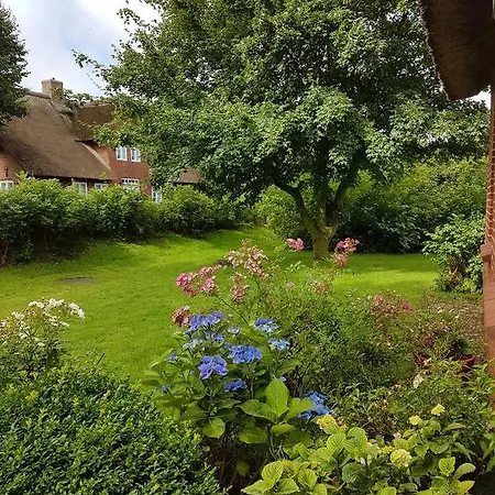 Haus-wilke Apartament